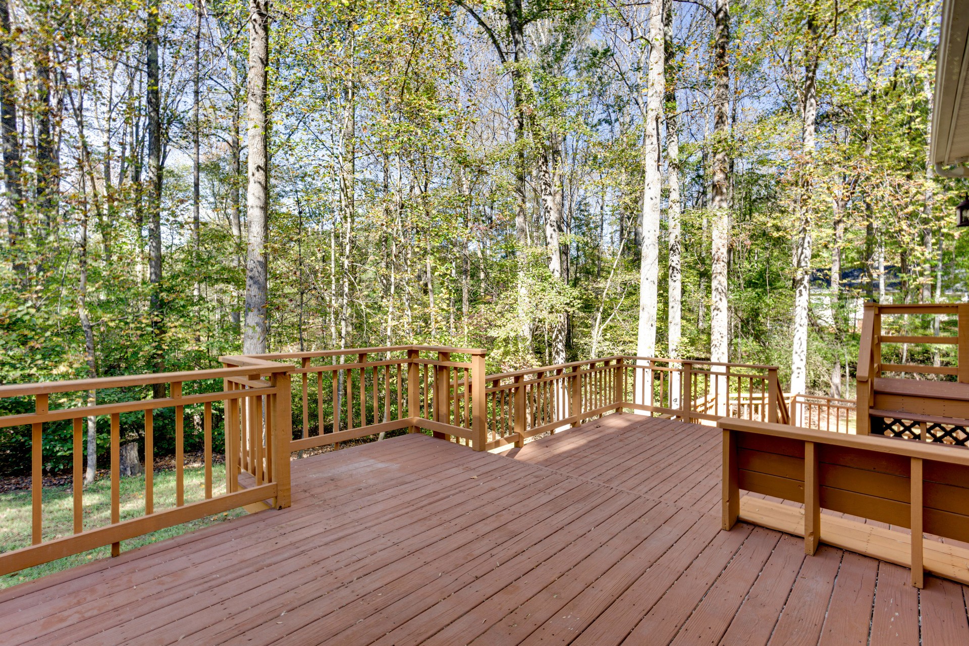 Spacious Wooden Deck Overlooking Lush Green Forest.